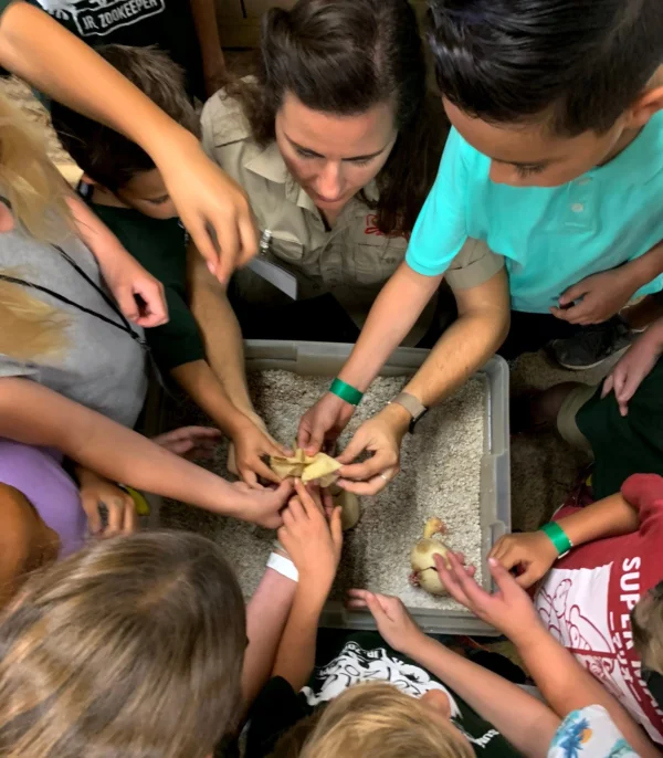 2025 Jr. Zookeeper Summer Camp Deposit - MORNING SESSION