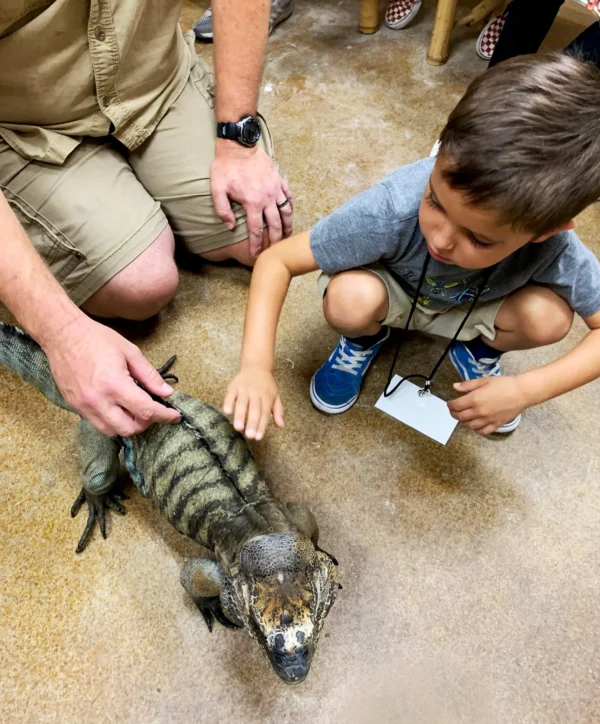 2025 Jr. Zookeeper Summer Camp Deposit - MORNING SESSION - Image 4