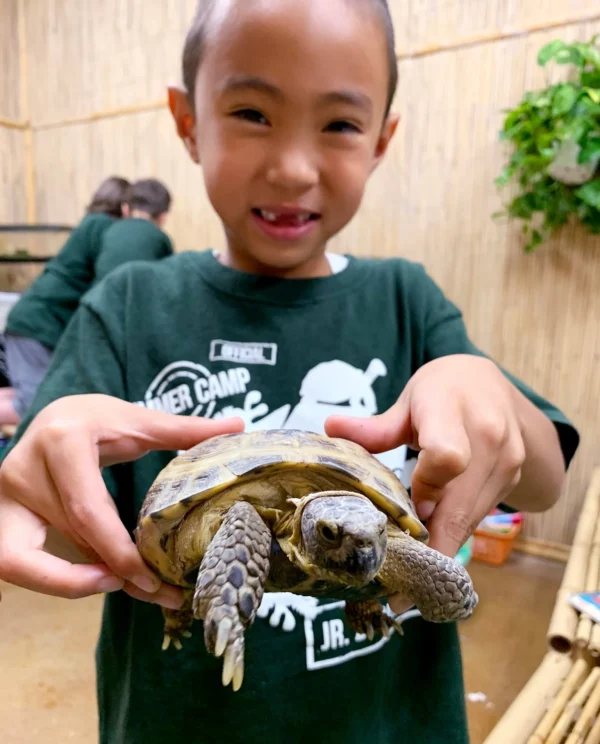 2025 Jr. Zookeeper Summer Camp Deposit - MORNING SESSION - Image 3