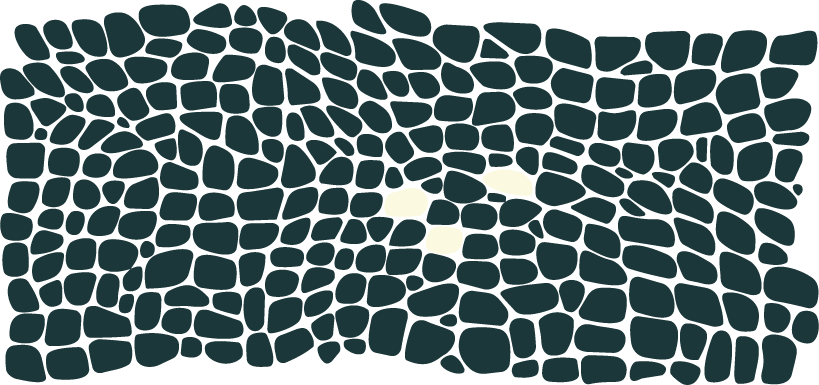 A group of alligator scales used as visual representation for the statistics of the Albino American Alligator's in the world