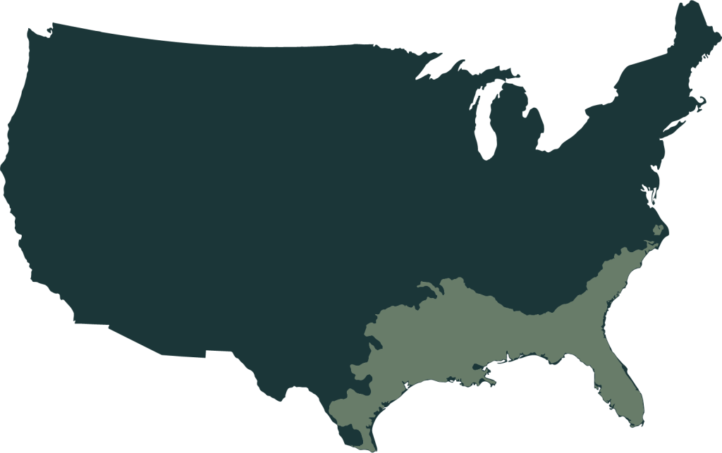 Place holder map, accurate geographic visualization coming soon