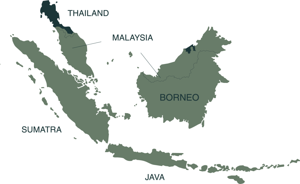 Place holder map, accurate geographic visualization coming soon