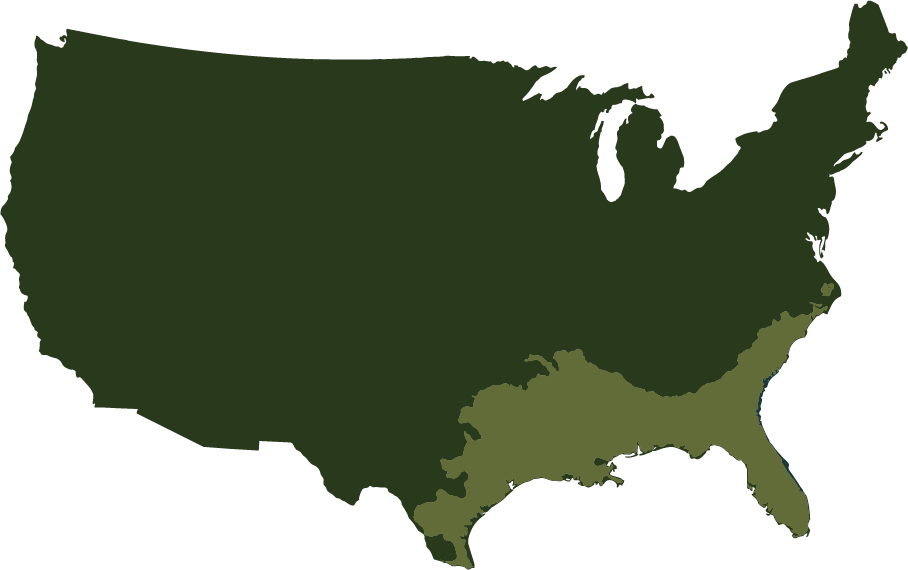 Place holder map, accurate geographic visualization coming soon