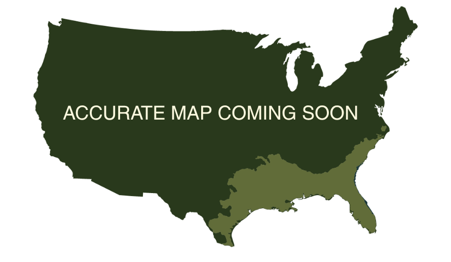 Place holder map, accurate geographic visualization coming soon