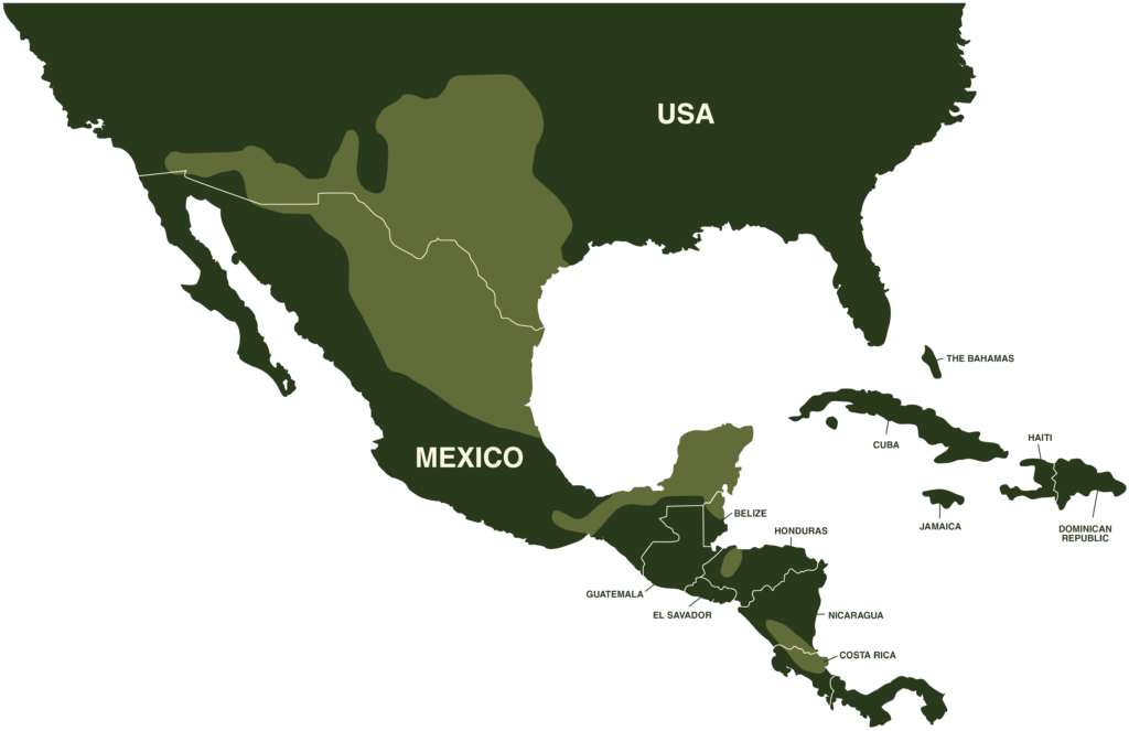 Albino Checkered Garter Snake Map and Geography