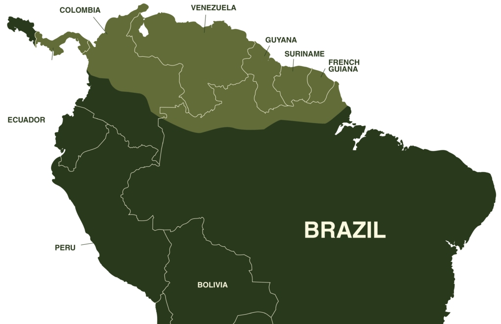 Ghost Colombian Rainbow Boa Map Geography Northern South America