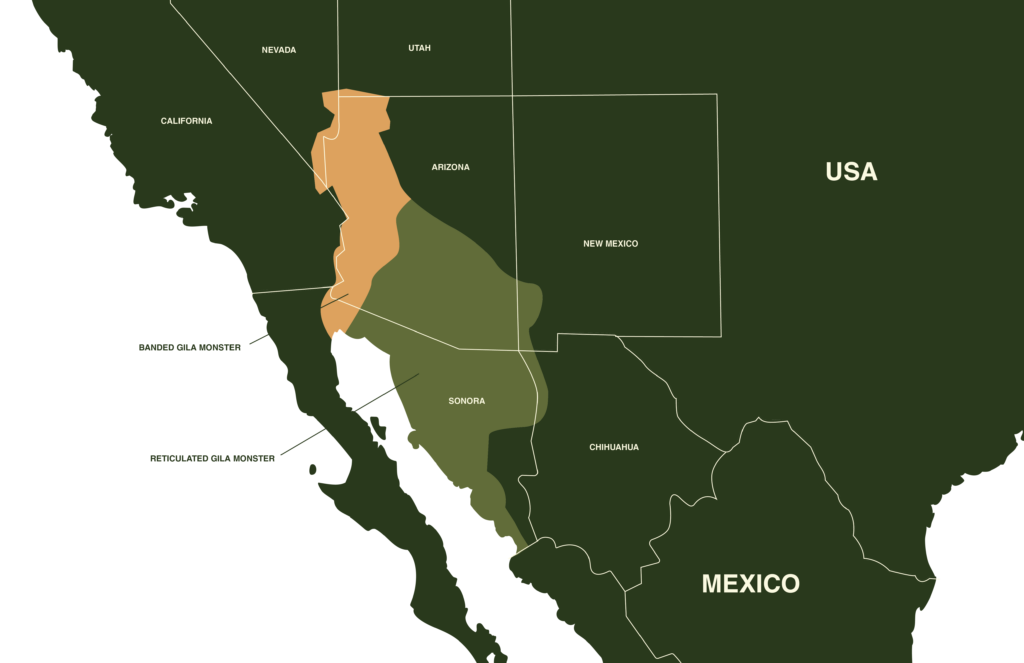 Banded Gila Monster and Reticulate Gila Monster Map Geography Range
