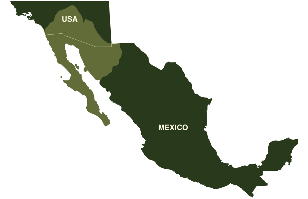 Mexican Black King Snake Map and Geography