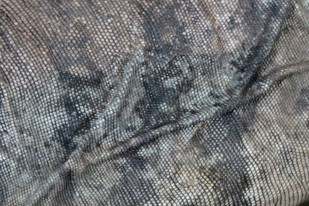 Grand Cayman Blue Iguana Skin Texture Close Up Scales
