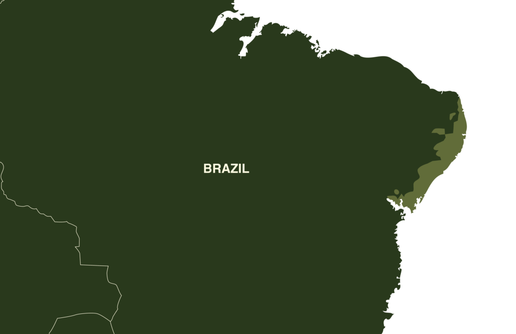 Brazilian Salmon Pink Bird-Eating Tarantula Map Geographical Range Northeast Brazil