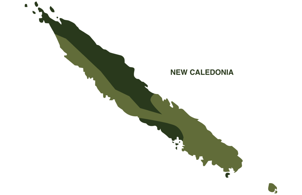 Gargoyle Gecko Map Geographical Range New Caledonia