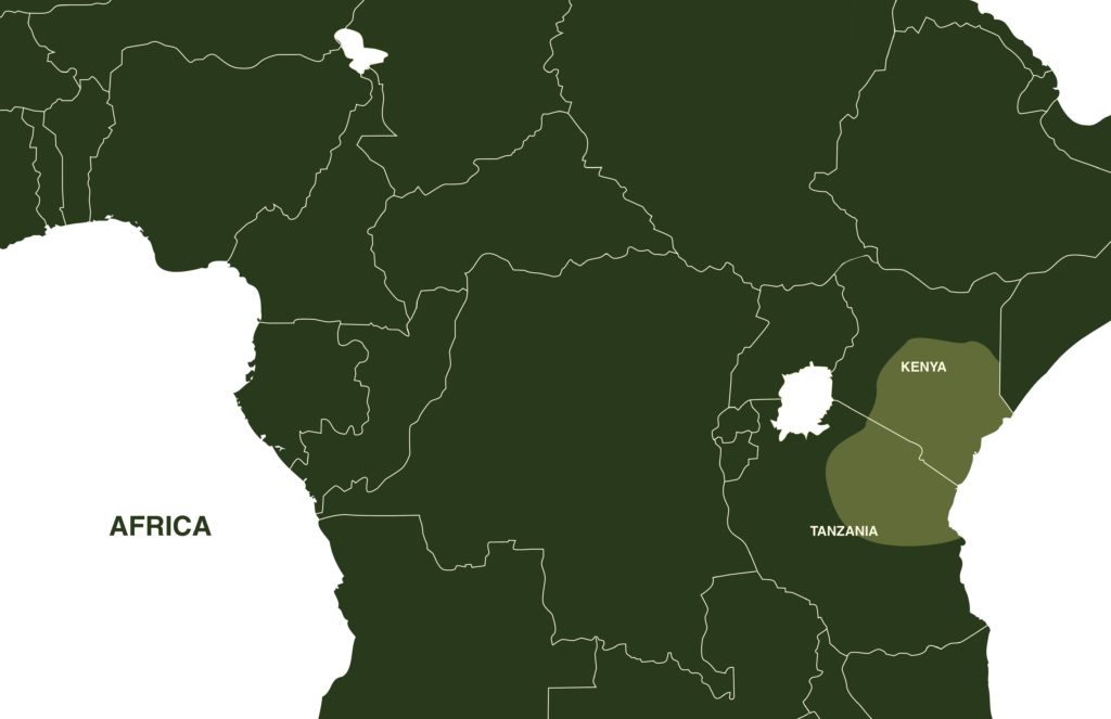 Neonate Jackson’s Chameleon Map Geographical Range East Africa