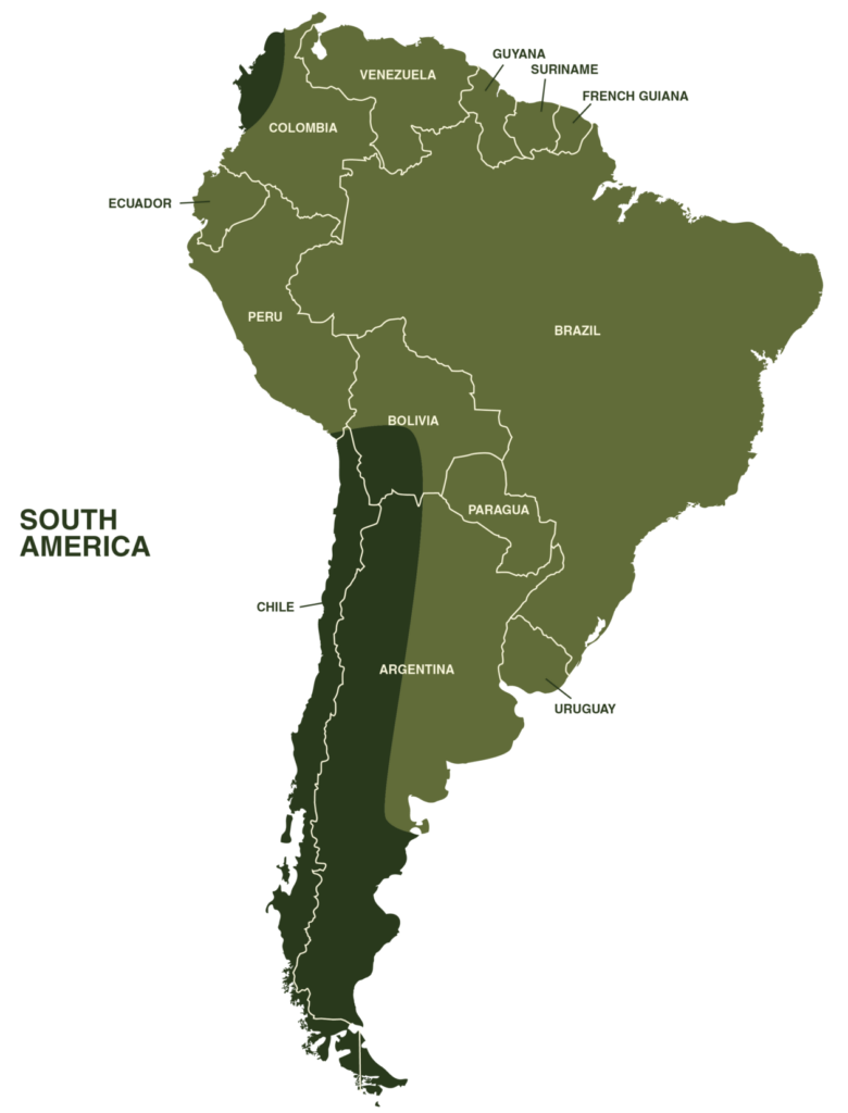 Red Tailed Boa Constrictor Map Geographical Range South America