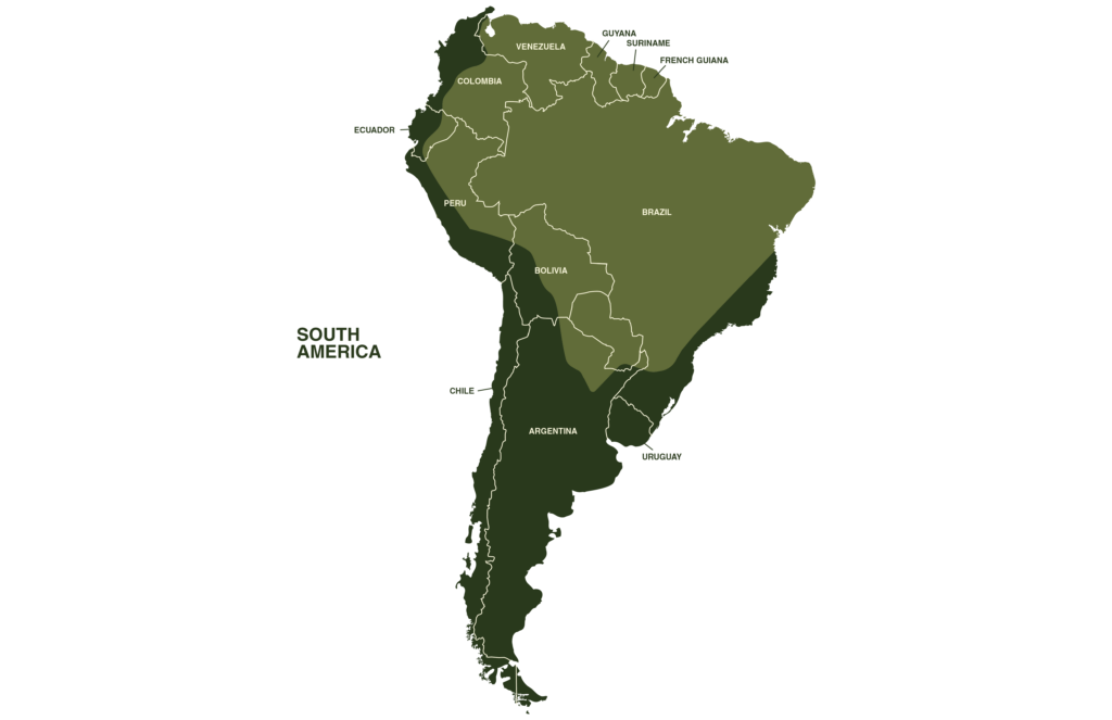 Yellow Anaconda Map Geographical Range South America